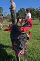 IMG_1014_sm