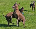 IMG_1070_sm