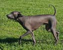 IMG_1088_sm