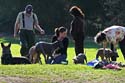 IMG_1164_sm