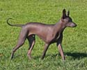 IMG_1248_sm