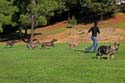IMG_1393_sm