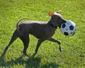 IMG_1560_sm