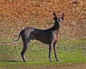 IMG_1594_sm