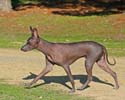 IMG_1598_sm