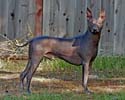 IMG_1618_sm