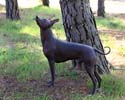 IMG_1639_sm